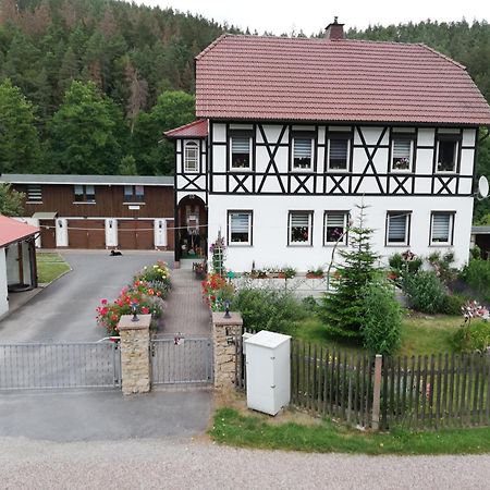 Fewo An Der Klosterruine Paulinzella Mit Kostenfreien Parkplatz Und Wlan Exterior foto