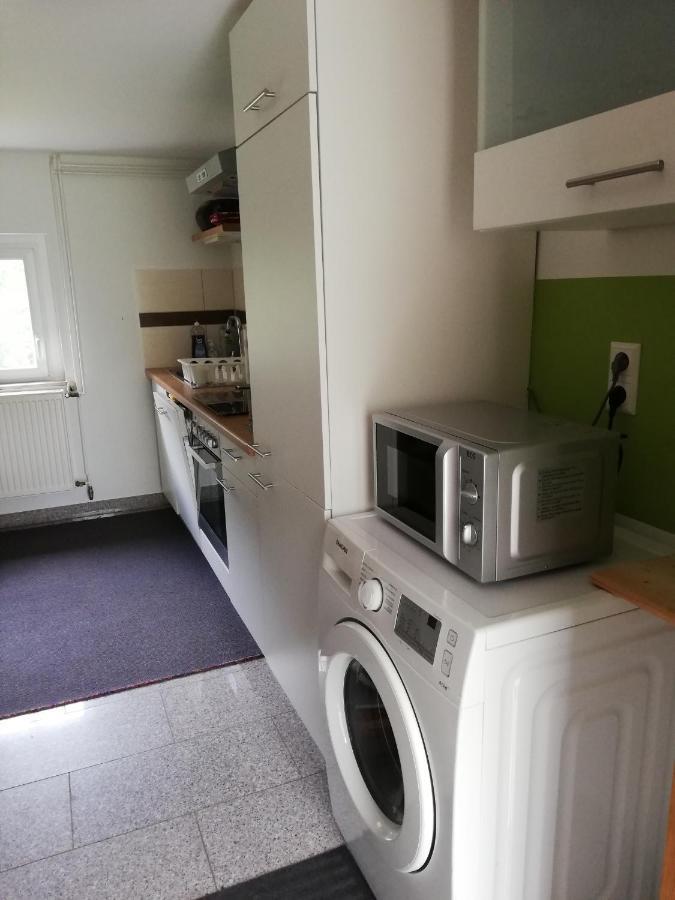 Fewo An Der Klosterruine Paulinzella Mit Kostenfreien Parkplatz Und Wlan Exterior foto